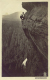 klett_blossstock1