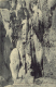 klett_falkenst2