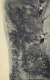 klett_moench4