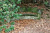 Thumbnail of 3629.jpg