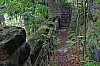 Thumbnail of 3636.jpg