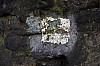 Thumbnail of 3745.jpg