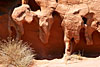 Valley of Fire