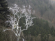 _mg_7169_f_1024