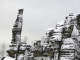 _mg_7561_f_1024