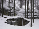 _mg_8418_f_1024