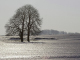 _mg_8634_f_1024