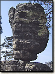 Hickelkopf