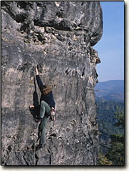 Sascha am Großen Lorenzstein, Separate Wand VIIc ( VIIIa)